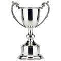 81012 Pewter Cup 30cm